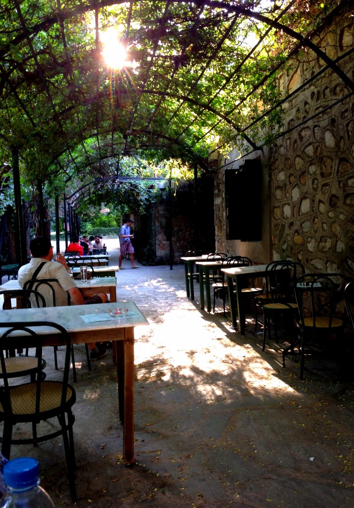 φωτογραφία 2