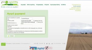 online platform