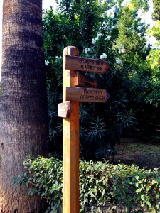 φωτογραφία 1