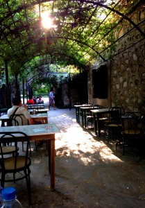 φωτογραφία 2