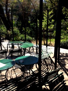 φωτογραφία 5